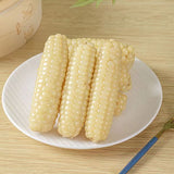 Xishuangbanna Sweet Sticky Corn – Wholesale Vacuum Pack
