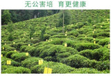 New pring Tea High Mountain Cloud Green Tea Strong Fragrance Ration Tea 250g