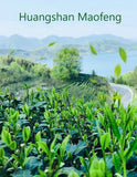 250g Huangshan Maofeng High Aroma Taste Green Coffee Tea Bulk