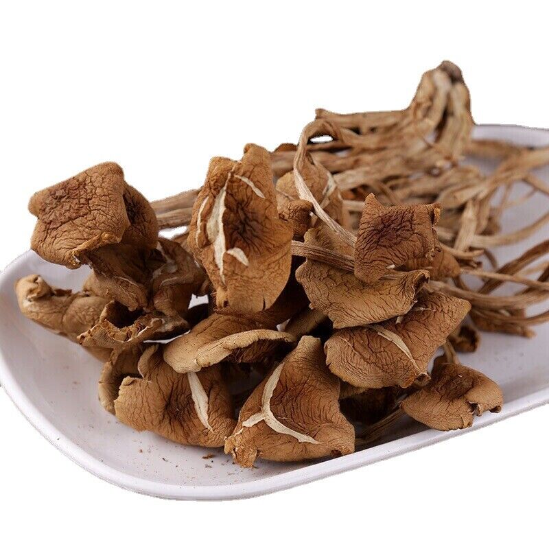 New Premium Dried Tea Tree Mushroom Chinese Herbal Agrocybe Cylindracea 250g/bag Main image