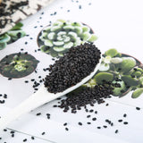 Orchideensamen Clean Basilikum Samen Perle Frucht Mischen Samen Kräutertee 500g