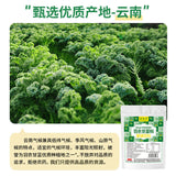 Pure Kale Powder Fruit and Vegetable Dietary Fiber Green Juice Powder 120G