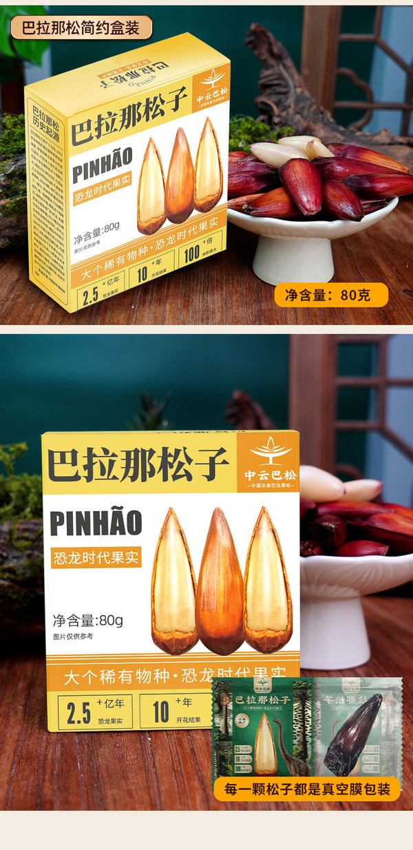 Premium Authentic Parana Pine Nuts Natural High Quality For Sale On Ebay