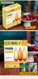Premium Authentic Parana Pine Nuts Natural High Quality For Sale On Ebay