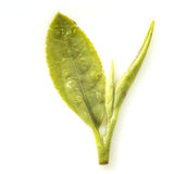 China Top Longjing Tea Fragrant Green Tea 200g New Gift Package Loose Leaf Tea