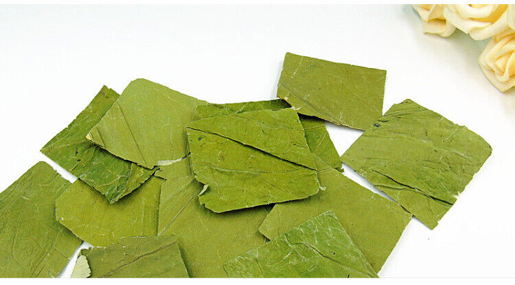 lotus leaf flakes lotus leaf shreds lotus leaf granules lotus leaf tea 17.6oz