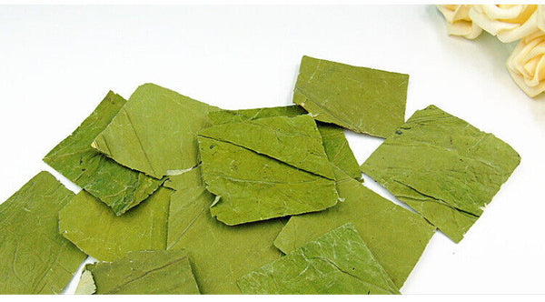 lotus leaf flakes lotus leaf shreds lotus leaf granules lotus leaf tea 17.6oz