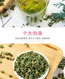 500g Mulberry Leaf Tea Sichuan Sweet Scent After Frost Mulberry Leaf Tea Bulk