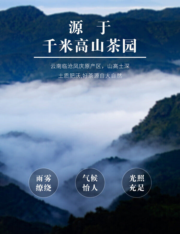 Yunnan Fengqing DianHong tea Pine Needle Un bourgeon une feuille Golden Needle