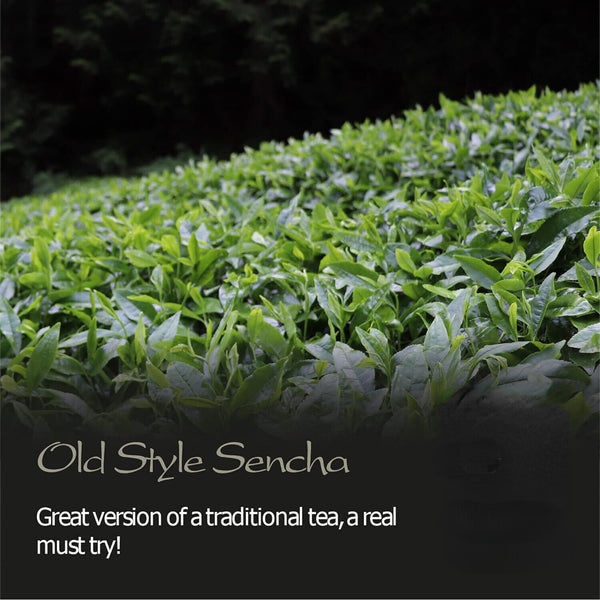Sencha Organic Green Tea Japan - Artisan Farm - Sen Ca - 50g