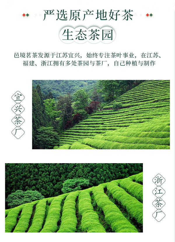 Organic Green Tea Yuhua High Quality Tea Exquisite Gift Box 96g