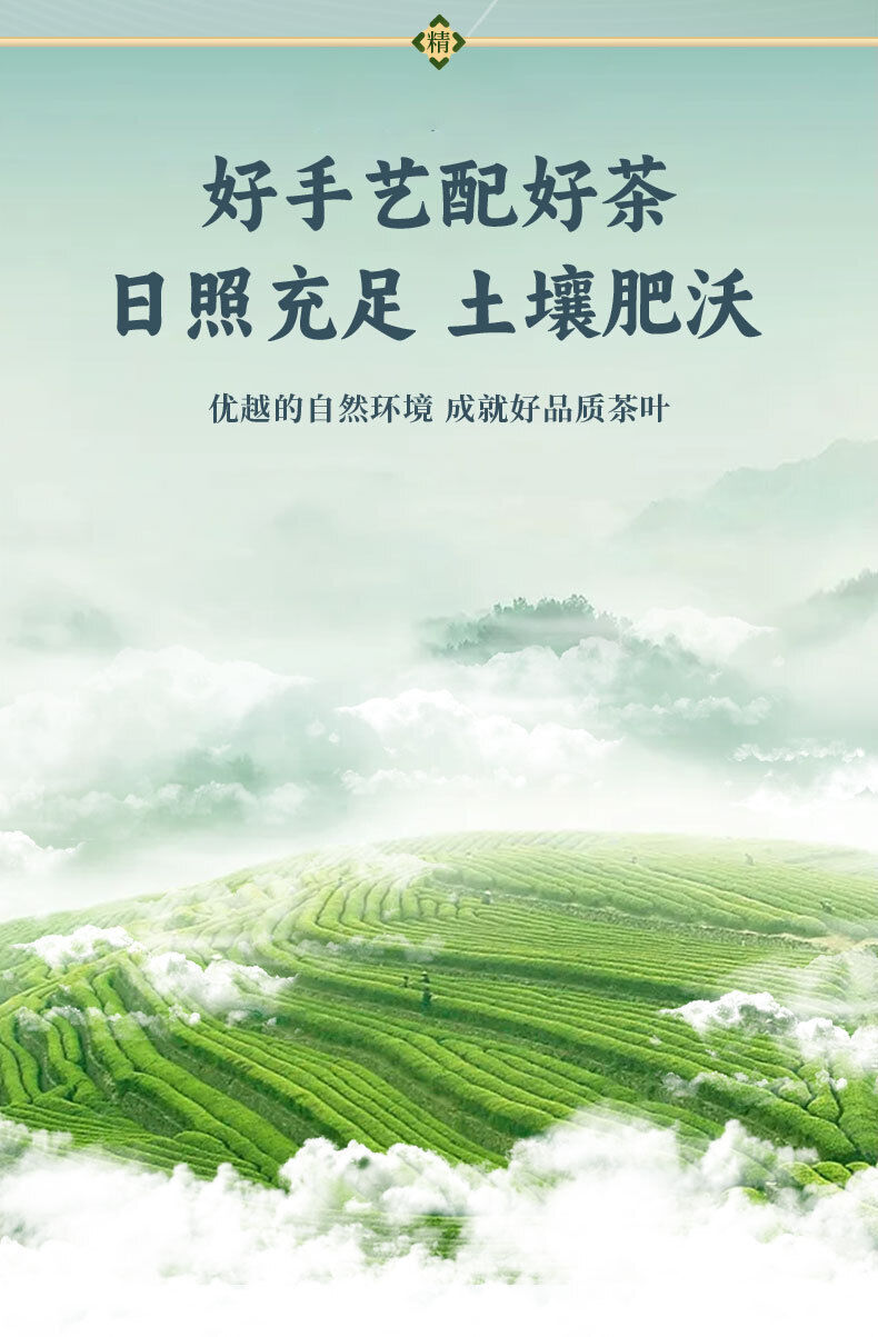 Green Tea Exquisite Gift Box Yuhua High Quality Tea Organic 96g