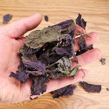 Perilla Leaf Herbal Medicine Perilla Leaf Perilla Leaf Perilla 500g/1.1lb