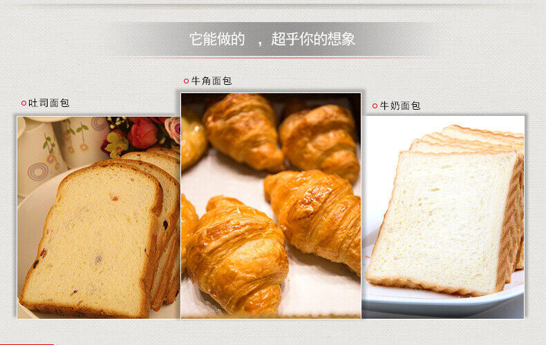 Angel Yeast High Sugar Tolerant High Activity Dry Yeast Powder Baking Powder