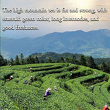 Natural Milk Oolong Tea 250g Creamy Silky Aroma Premium Weight Loss Green Tea