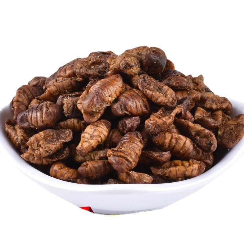 Dried Cicada Chrysalis Dried Silkworm Chrysalis Chinese Herbs 500g/1.1lb Secondary image
