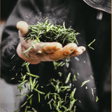 Authentic Honey Aroma Black Yellow Bud Special Grade Jin Jun Mei Wuyi Black Tea