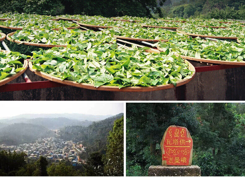 357g Puerh Raw Tea Cake Pu-erh Raw Tea Cake Yunnan Pu-erh Tea Cake 布朗山老曼峨古树茶