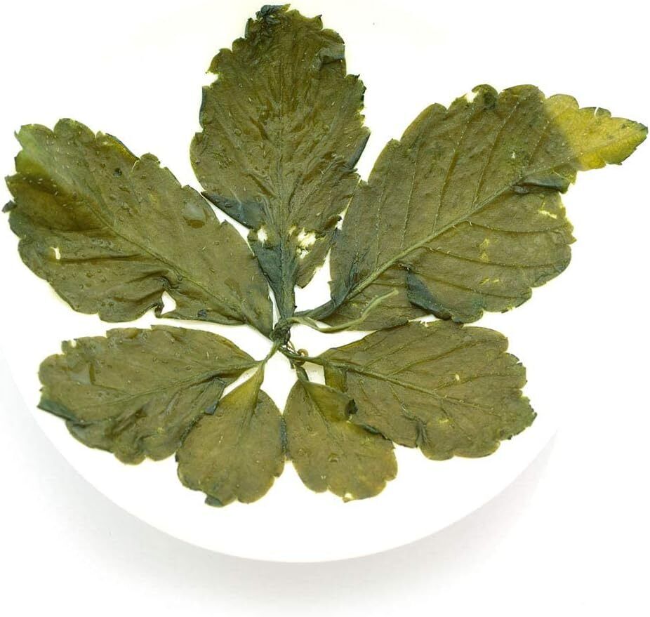 250g Premium Seven Leaf Jiaogulan Gynostemma Chinese Herbal GREEN TEA Loose Leaf Main image