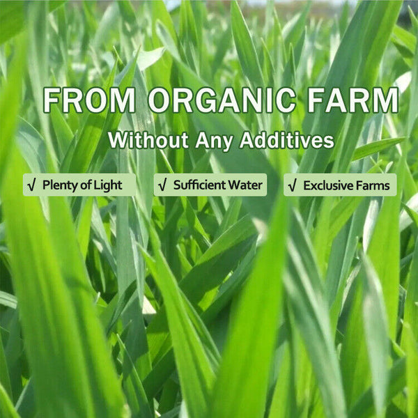 Natural AMAZING Barley Grass Powder Organic Healthy Drink 100% Pure
