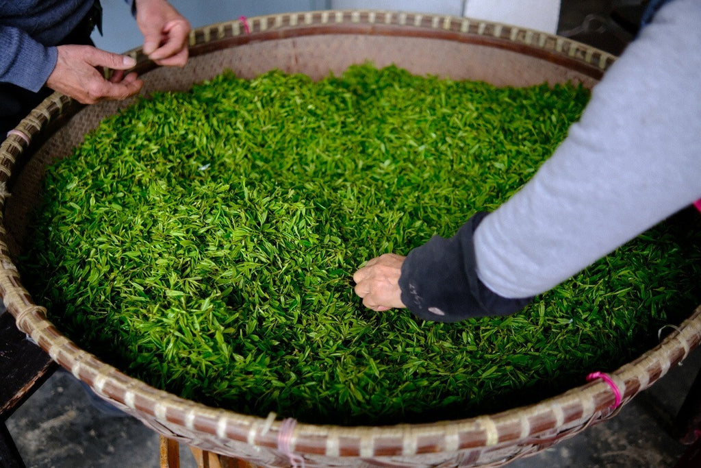 2025 First Flush Longjing Tea Premium Grade 50g Fresh Hangzhou Origin