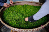 2025 First Flush Longjing Tea Premium Grade 50g Fresh Hangzhou Origin