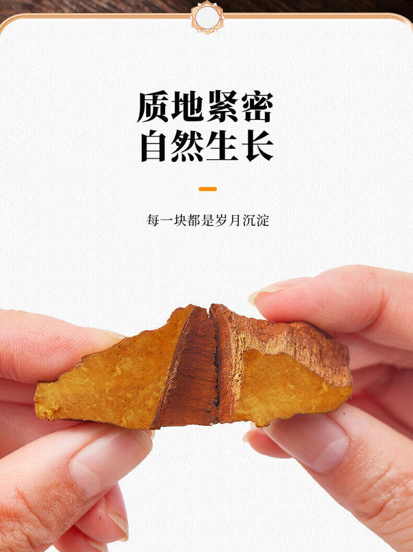 Natural Sanghuang Phellinus Linteus Chinese Herbal Tea Health Tea 50g