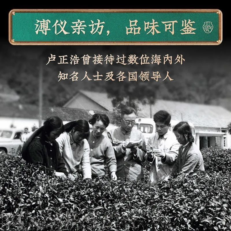 Chrysanthemum Snow Pear Tea Staying up all night health berries cassia seed tea