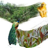 200g Zi Juan Dr. Pu'er Tea Puerh Wild Purple Ancient Tree Pu-erh Tea