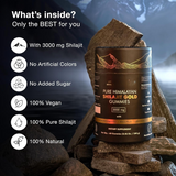 100% Pure Himalayan Shilajit Gummies | With Ashwagandha, Gokshura & other