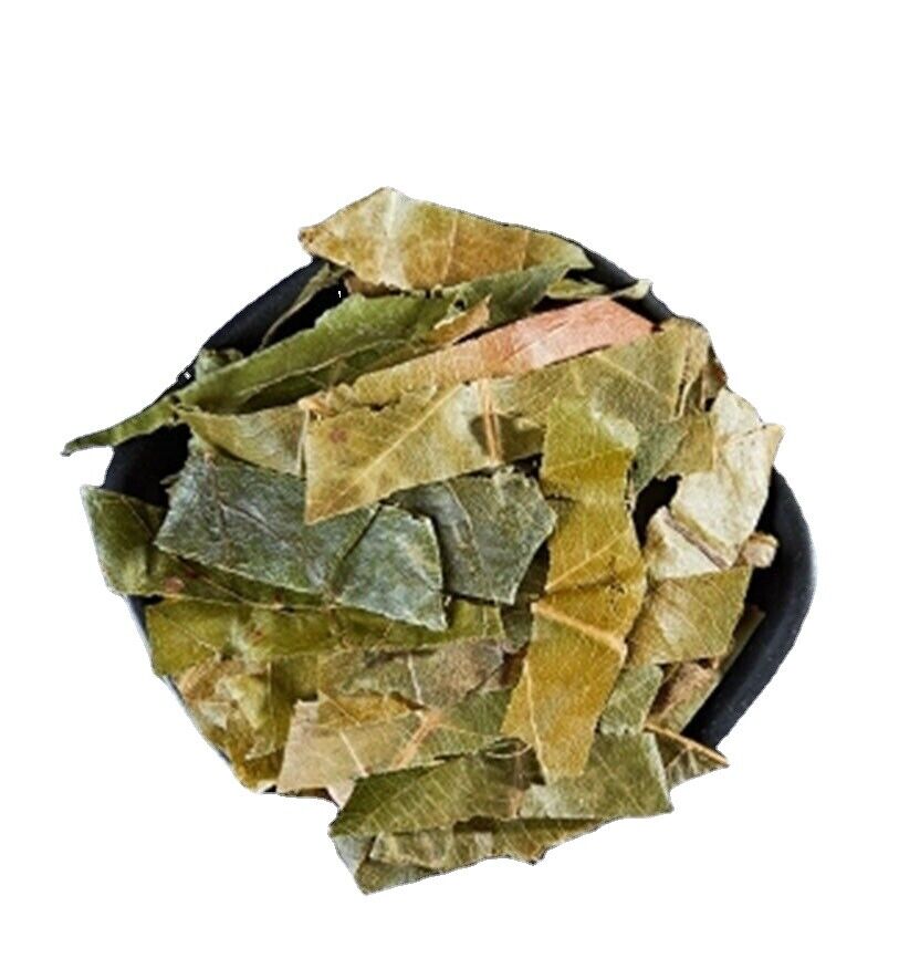 Medicinal Chinese Herb Loquat Leaf / Eriobotrya Japonica 100% Natural 250g/8.8oz