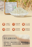 Germinated Unpolished Pearl Rice – Vacuum Sealed Green Food for Porridge