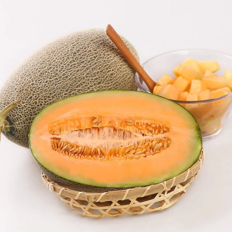 Cantaloupe Fruit Honeydew Hami Melon Extract Powder Water Soluble Beverage