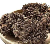500g Natürliche getrocknete Maitake Nahrungsergänzungsmittel Grifola Frondosa