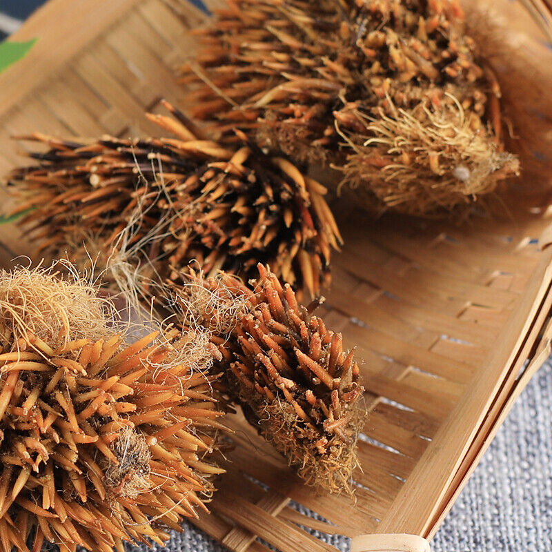 50g Healthy Care, 100% Chinese Top-grade Authentic Hedgehog Skin Main image