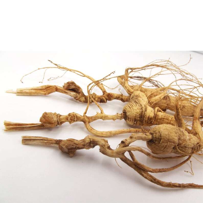 3 Pcs Dry Transplant Wild Ginseng Root 10-15 Years Relative Integrity Secondary image