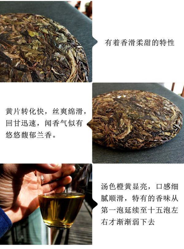 357g Pu'er raw tea golden leaves golden Mengku yellow slices, seven seed cakes
