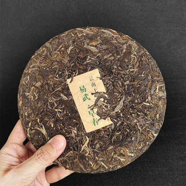 Pu-erh Raw Tea Cake Yunnan Pu-erh Tea 357g 云南七子茶饼 易武早春