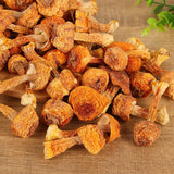 JiSongRong Top Grade Brazil Mushroom for Cooking Soup  Dried Goods 100g/3.52oz