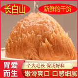 Organic Lion's Mane Mushroom 500g 100 Dried Premium