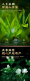 Fuzhou Jasmine Tea Extra Strong 200g Cans of Tea Strong Aromatic Green Tea