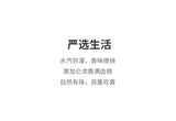 150g Water-soluble Blackcurrant Concentrated Powder Blackcurrant Fruit Powder