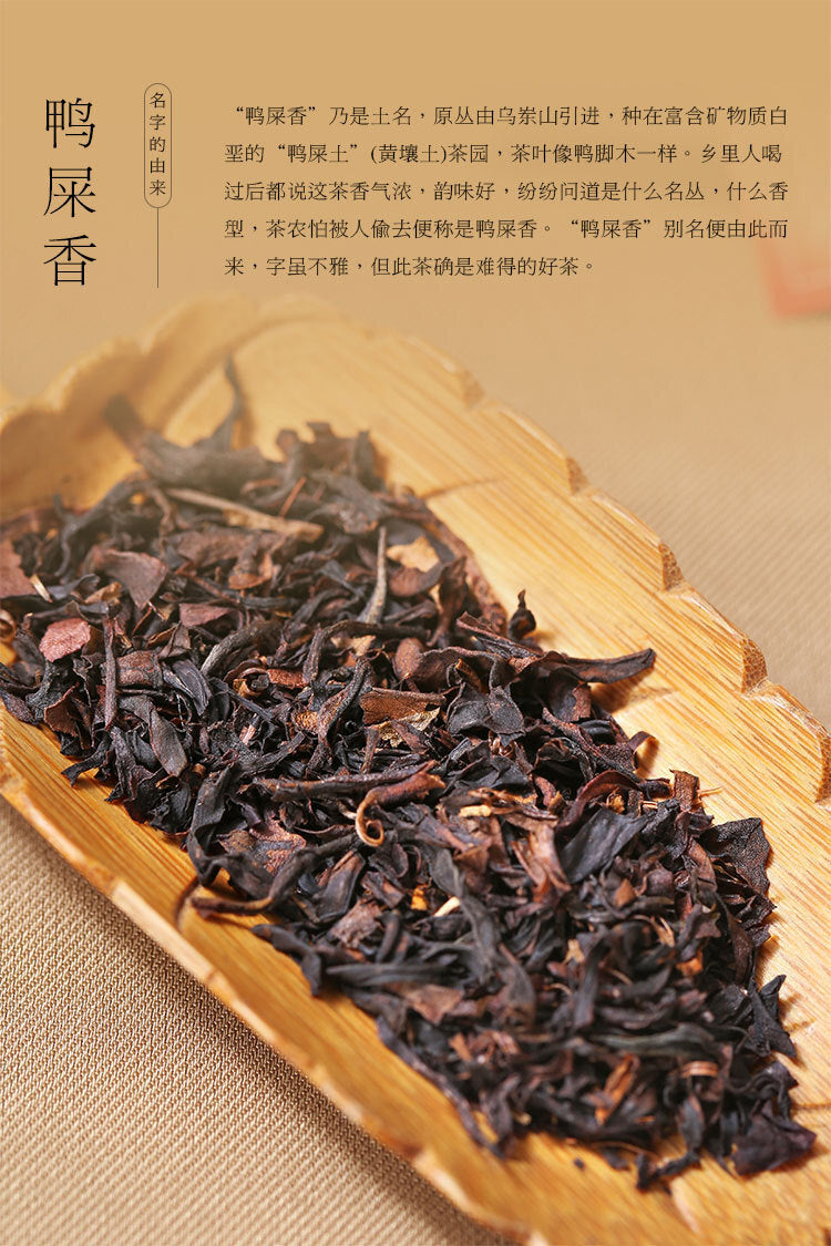 High Mountain Ya Shi Xiang Tea Bags Boxed Premium Phoenix Dancong Tea