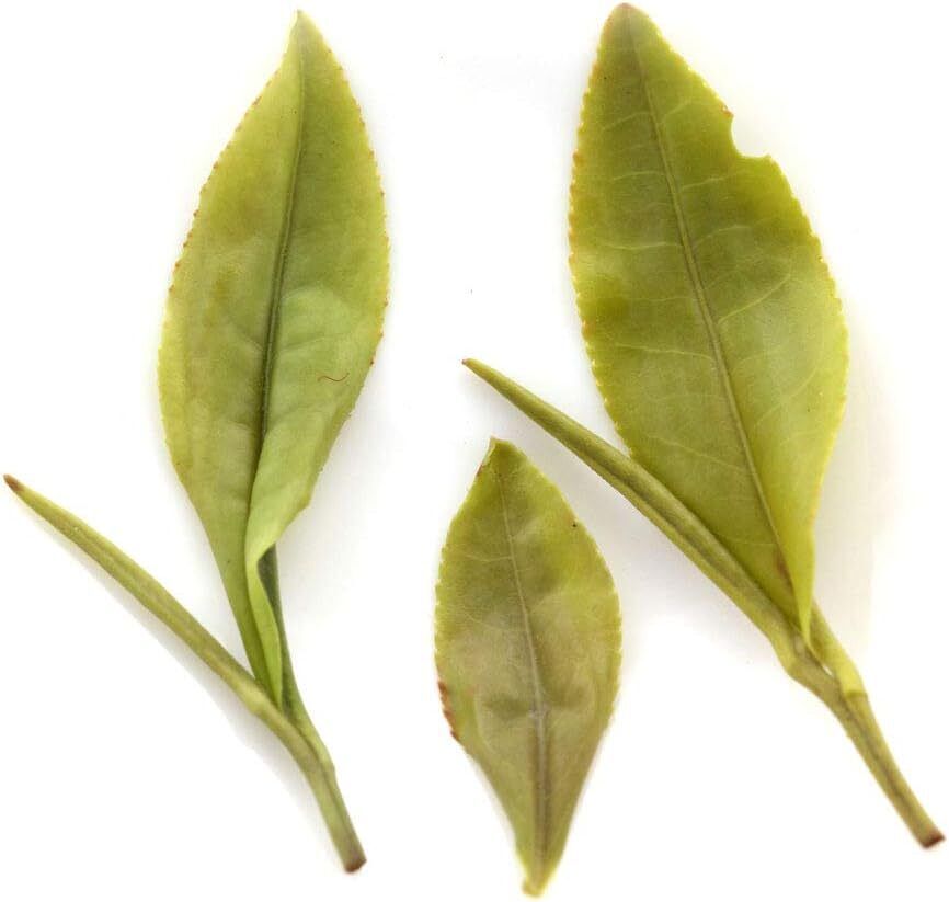 250g Spring Huangshan High Mountain Maofeng Loose Leaf Chinese Green Tea