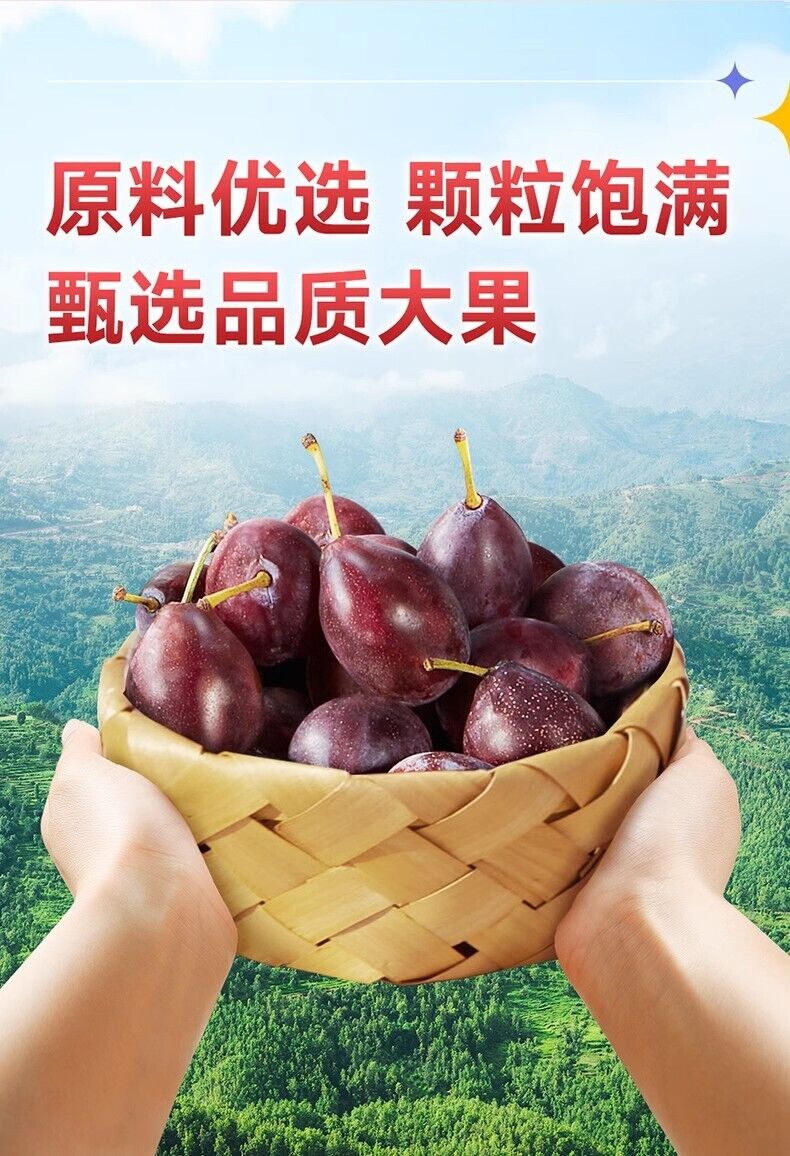 Natural Dried Prunes Large Size Sweet Snacks No Preservatives Healthy