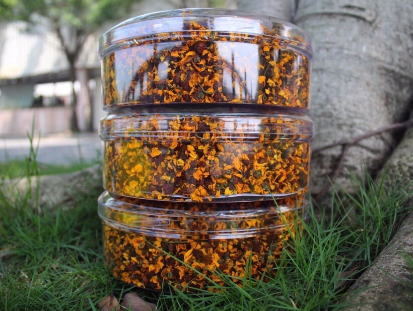 Tianshan Snow Chrysanthemum Flower Tea Authentic Kunlun Snow Chrysanthemum Tea