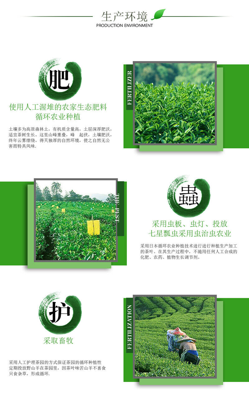Taiwan Alpine Tea Gold Day Tea Honey Aroma Oolong Tea Clear Aroma 100g Tin Cans