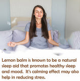 Lemon Balm Extract Powder 10:1 | Melissa Herbal Supplement 200G