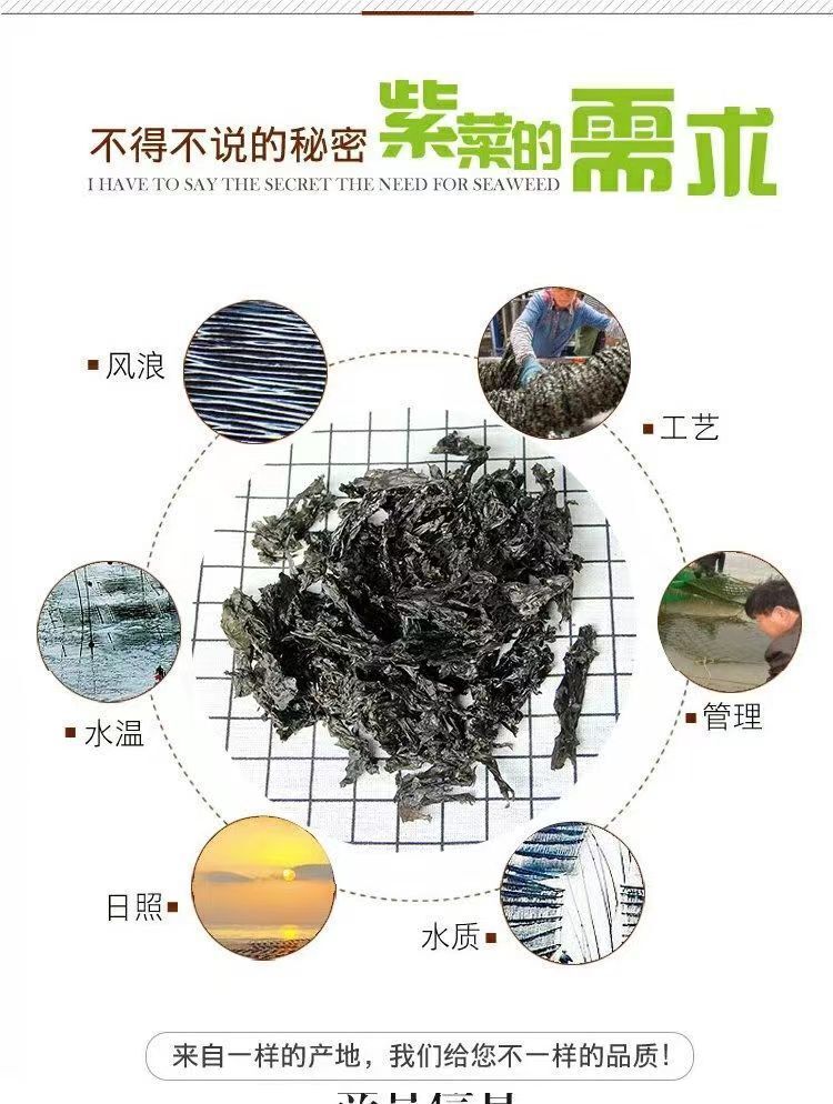 No-Sand Ready-to-Use for Soup Bulk Pack Dried Nori Seaweed First Harvest