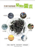 No-Sand Ready-to-Use for Soup Bulk Pack Dried Nori Seaweed First Harvest